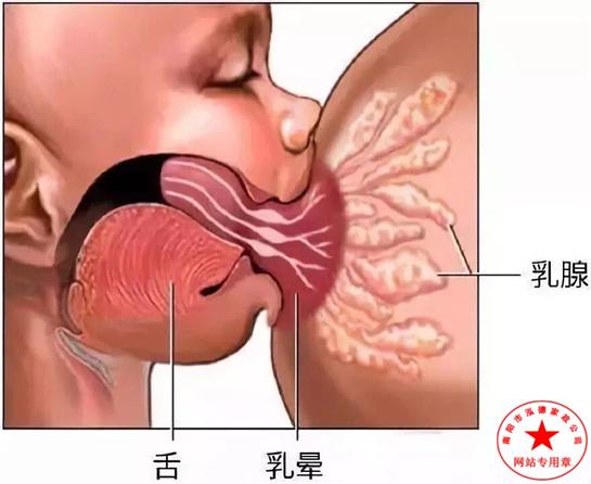 漲奶怎么辦？